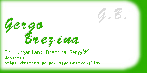 gergo brezina business card